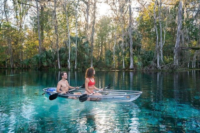 Silver Springs: Clear Kayak Wildlife Adventure - Photo 1 of 11